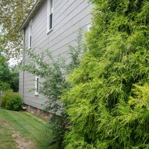 Photo #62 of 538 RANDOLPH AVE, CAPE CHARLES, VA 26.0 acres