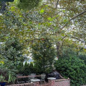 Photo #65 of 538 RANDOLPH AVE, CAPE CHARLES, VA 26.0 acres