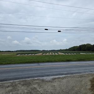 Photo #11 of 9046 OCCOHANNOCK NECK RD, EXMORE, VA 0.4 acres