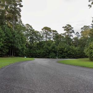 Photo #12 of Lot 65 INDIGO LANE, HORNTOWN, VA 3.4 acres