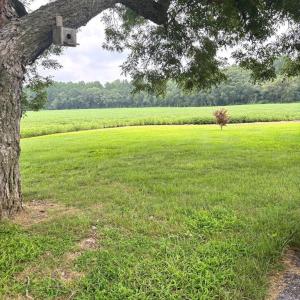 Country view overlooking farm