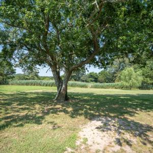 Photo #32 of 27220 BAYLYS NECK RD, ACCOMAC, VA 1.6 acres