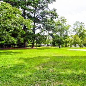 Photo #10 of 3340 WILLOW ST, CHINCOTEAGUE, VA 0.7 acres