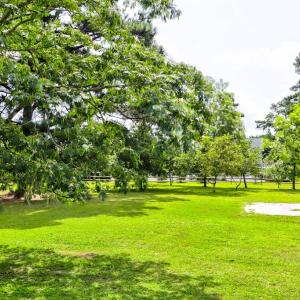Photo #2 of 3340 WILLOW ST, CHINCOTEAGUE, VA 0.7 acres