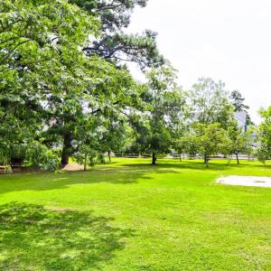 Photo #3 of 3340 WILLOW ST, CHINCOTEAGUE, VA 0.7 acres