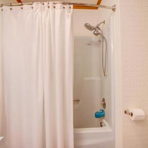 Photo #40 of 3340 WILLOW ST, CHINCOTEAGUE, VA 0.7 acres