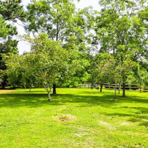 Photo #8 of 3340 WILLOW ST, CHINCOTEAGUE, VA 0.7 acres