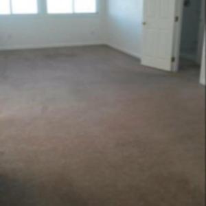 Photo #15 of 14290 RIDGE RD, BLOXOM, VA 3.4 acres