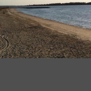 Photo #16 of 14290 RIDGE RD, BLOXOM, VA 3.4 acres