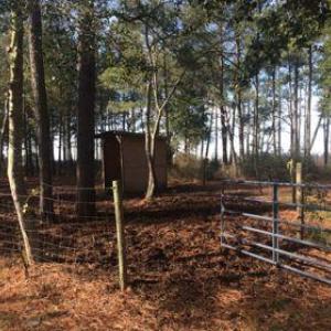 Photo #5 of 14290 RIDGE RD, BLOXOM, VA 3.4 acres