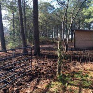 Photo #6 of 14290 RIDGE RD, BLOXOM, VA 3.4 acres