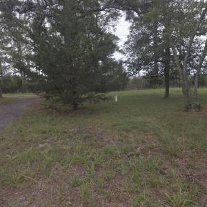 Photo #7 of 14290 RIDGE RD, BLOXOM, VA 3.4 acres