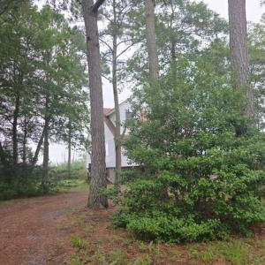 Photo #9 of 14290 RIDGE RD, BLOXOM, VA 3.4 acres