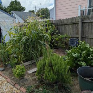 Photo #23 of 6390 CHURCH ST, CHINCOTEAGUE, VA 10,890.0 acres