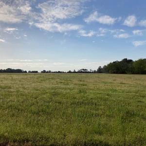 Photo #12 of 28109 ALICATO RD, PARKSLEY, VA 0.5 acres