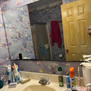 Photo #40 of 20388 CANVASBACK LN, ONANCOCK, VA 0.5 acres