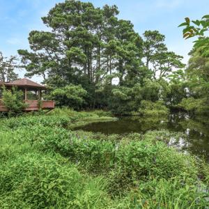 Photo #58 of 3175 PORT CT, GREENBACKVILLE, VA 0.3 acres