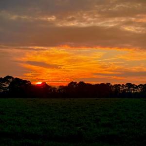 Photo #56 of 3134 SAPPHIRE COURT, CAPE CHARLES, VA 0.6 acres