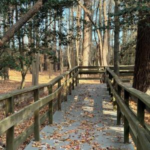 Photo #55 of 3134 SAPPHIRE COURT, CAPE CHARLES, VA 0.6 acres