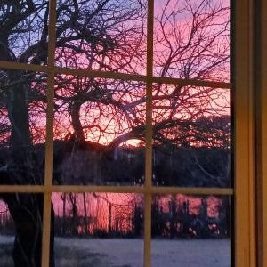 Photo #36 of 18731 JOHNSONS LANDING RD, PARKSLEY, VA 2.8 acres