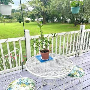 Photo #45 of 18731 JOHNSONS LANDING RD, PARKSLEY, VA 2.8 acres