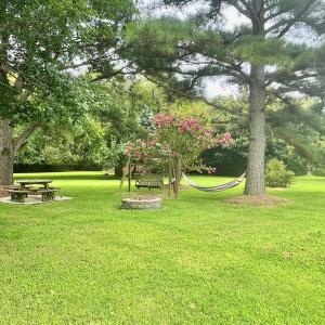 Photo #72 of 18731 JOHNSONS LANDING RD, PARKSLEY, VA 2.8 acres