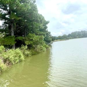 Photo #74 of 18731 JOHNSONS LANDING RD, PARKSLEY, VA 2.8 acres