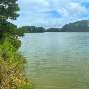 Photo #75 of 18731 JOHNSONS LANDING RD, PARKSLEY, VA 2.8 acres