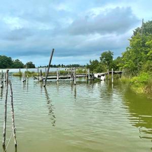 Photo #78 of 18731 JOHNSONS LANDING RD, PARKSLEY, VA 2.8 acres