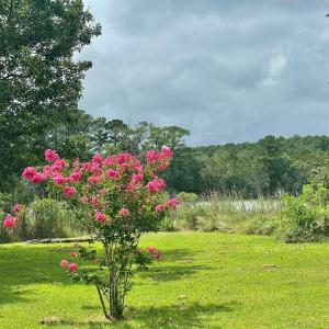 Photo #80 of 18731 JOHNSONS LANDING RD, PARKSLEY, VA 2.8 acres