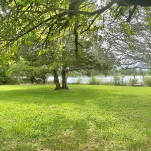 Photo #81 of 18731 JOHNSONS LANDING RD, PARKSLEY, VA 2.8 acres