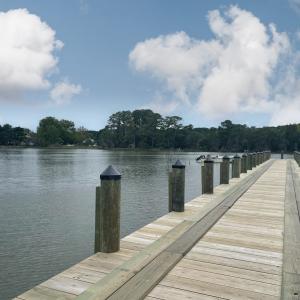 Photo #87 of 18731 JOHNSONS LANDING RD, PARKSLEY, VA 2.8 acres