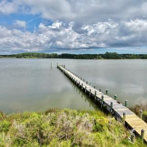 Photo #6 of 20224 ALLEN LN, ONANCOCK, VA 1.1 acres