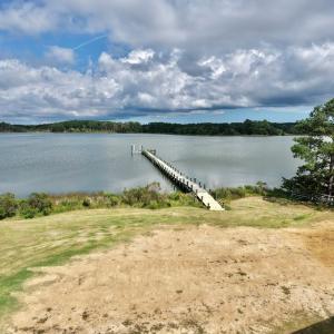 Photo #66 of 20224 ALLEN LN, ONANCOCK, VA 1.1 acres