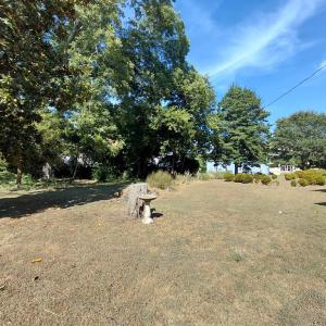 Photo #75 of 3342 MAIN ST, EXMORE, VA 1.6 acres