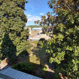 Photo #97 of 3342 MAIN ST, EXMORE, VA 1.6 acres