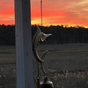 Photo #31 of 39030 STATE LINE RD, GREENBACKVILLE, VA 0.5 acres