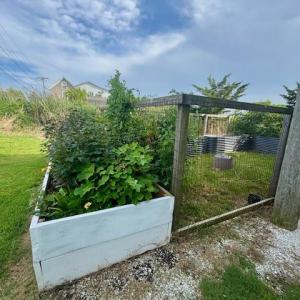 Garden area.