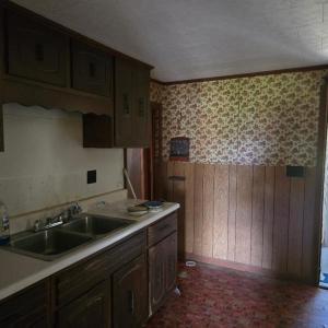 Photo #5 of 1435 ELLIS ST, GREENBACKVILLE, VA 1.5 acres