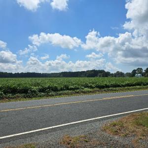 Photo #2 of 26357* SHORE MAIN DR, BLOXOM, VA 2.0 acres