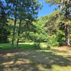 Photo #20 of 26357* SHORE MAIN DR, BLOXOM, VA 2.0 acres