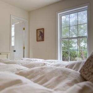 Photo #31 of 5120 HORTENSE LN, CAPE CHARLES, VA 1.0 acres