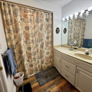 Photo #19 of 2488 JOLLY RODGER DRIVE, GREENBACKVILLE, VA 0.5 acres