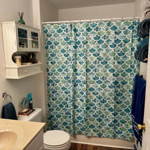 Photo #9 of 2488 JOLLY RODGER DRIVE, GREENBACKVILLE, VA 0.5 acres