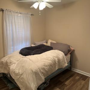 Photo #8 of 5138 SERENITY LN, CHINCOTEAGUE, VA 0.3 acres