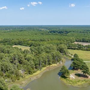 Photo #77 of 24511 TILGHMAN ROAD, ONANCOCK, VA 42.6 acres