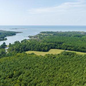 Photo #81 of 24511 TILGHMAN ROAD, ONANCOCK, VA 42.6 acres