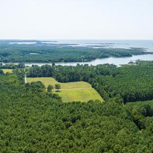 Photo #84 of 24511 TILGHMAN ROAD, ONANCOCK, VA 42.6 acres