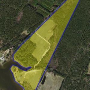 Photo #87 of 24511 TILGHMAN ROAD, ONANCOCK, VA 42.6 acres