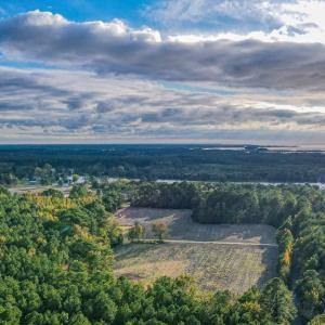 Photo #55 of 24511 TILGHMAN ROAD, ONANCOCK, VA 42.6 acres